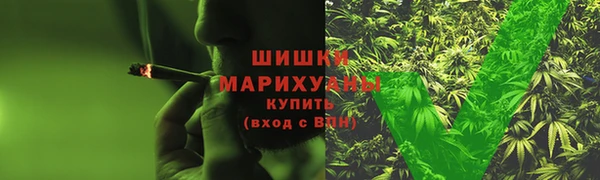 ГАЛЛЮЦИНОГЕННЫЕ ГРИБЫ Алзамай
