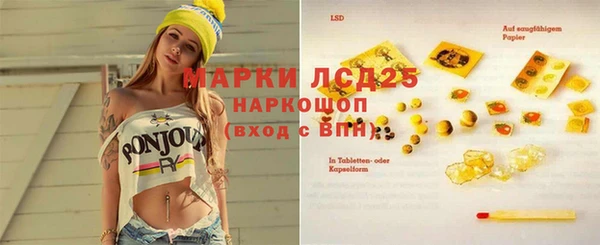 ГАЛЛЮЦИНОГЕННЫЕ ГРИБЫ Алзамай