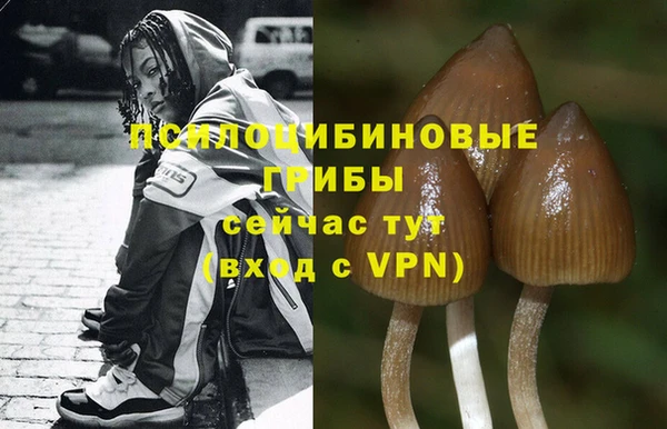 стафф Вуктыл