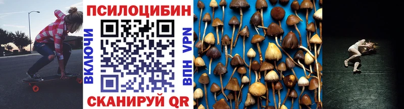 Галлюциногенные грибы Psilocybe ОМГ ОМГ ссылка Жуковка